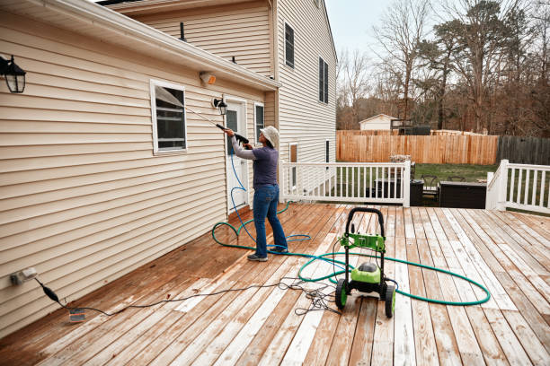 Best Local Pressure Washing Services  in Lake Panasoffkee, FL