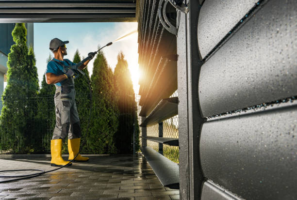 Best Roof Pressure Washing  in Lake Panasoffkee, FL