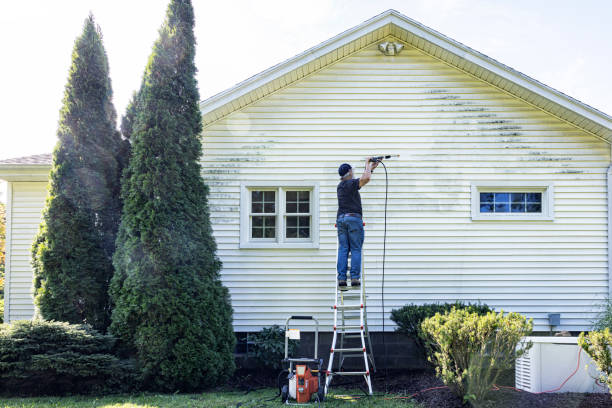 Why Choose Our Certified Pressure Washing Experts for Your Project Needs in Lake Panasoffkee, FL?