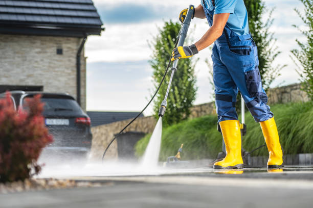 Best Sidewalk Pressure Washing  in Lake Panasoffkee, FL