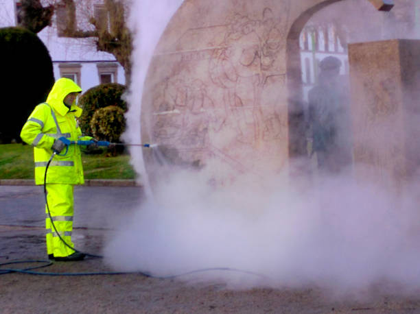 Best Residential Pressure Washing Services  in Lake Panasoffkee, FL