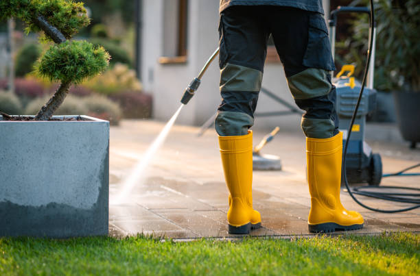 Best Affordable Power Washing  in Lake Panasoffkee, FL